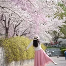 北京旅游 缩略图 10
