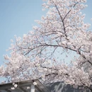北京旅游 缩略图 8