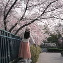 北京旅游 缩略图 6