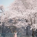 北京旅游 缩略图 12