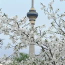 北京旅游 缩略图 2