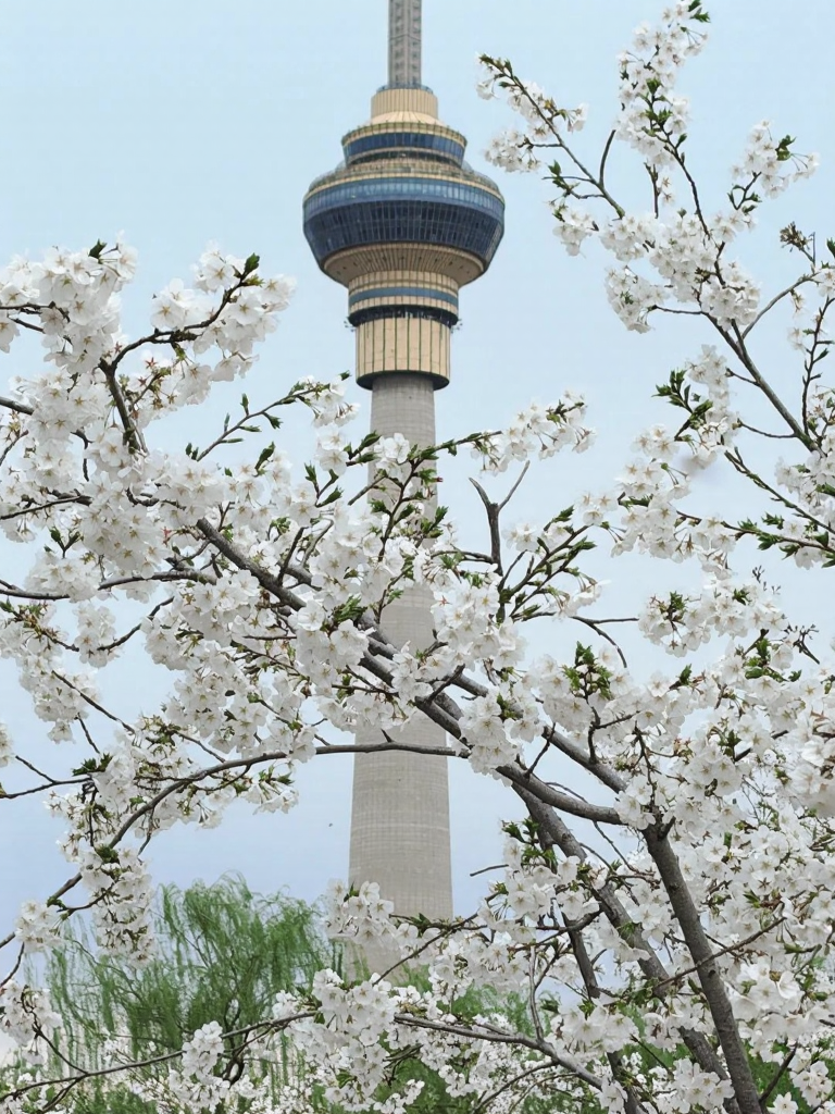 北京旅游