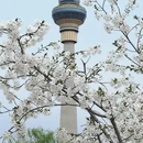 北京旅游 缩略图 1