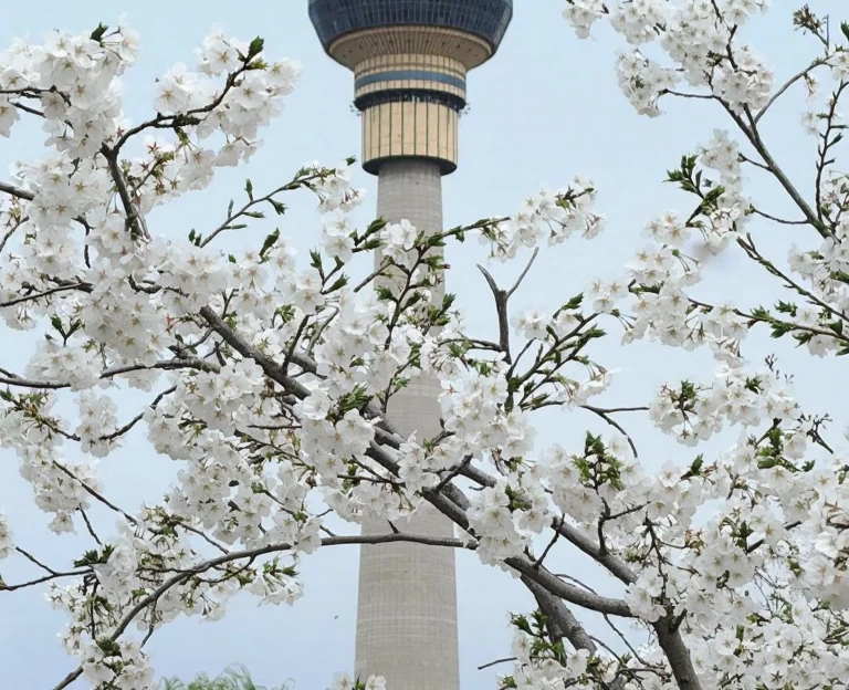 北京旅游 1