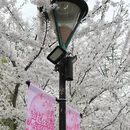 北京旅游 缩略图 10