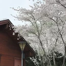 北京旅游 缩略图 11