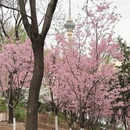北京旅游 缩略图 15