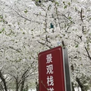 北京旅游 缩略图 12