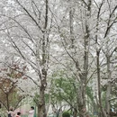 北京旅游 缩略图 17