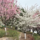北京旅游 缩略图 14