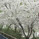 北京旅游 缩略图 16