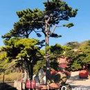 北京旅游 缩略图 3