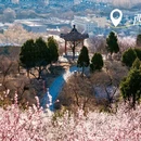 北京旅游 缩略图 5