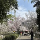 北京旅游 缩略图 11