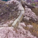 北京旅游 缩略图 2