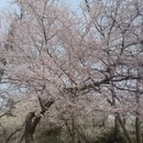 北京旅游 缩略图 2