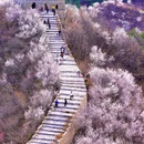 北京旅游 缩略图 1