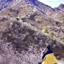 北京旅游 缩略图 3