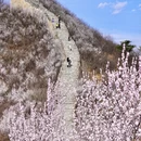 北京旅游 缩略图 5