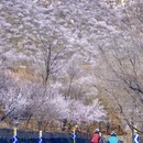 北京旅游 缩略图 4