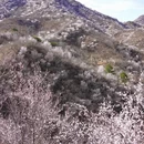 北京旅游 缩略图 13
