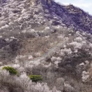 北京旅游 缩略图 9