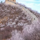 北京旅游 缩略图 17