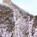 北京旅游 缩略图 11