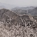 北京旅游 缩略图 3