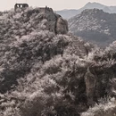 北京旅游 缩略图 4