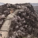 北京旅游 缩略图 7