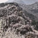 北京旅游 缩略图 12