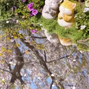 北京旅游 缩略图 10
