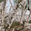 北京旅游 缩略图 2