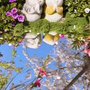 北京旅游 缩略图 11