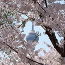 北京旅游 缩略图 18