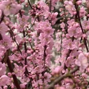 北京旅游 缩略图 6