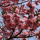 北京旅游 缩略图 2