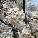 北京旅游 缩略图 9