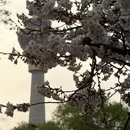 北京旅游 缩略图 12