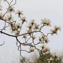 北京旅游 缩略图 6