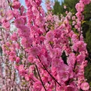 北京旅游 缩略图 8