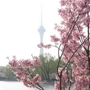 北京旅游 缩略图 6