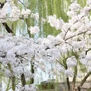 北京旅游 缩略图 13