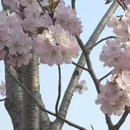北京旅游 缩略图 8