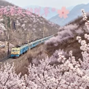北京旅游 缩略图 1