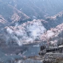 北京旅游 缩略图 4