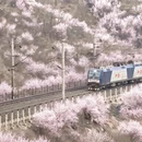 北京旅游 缩略图 2