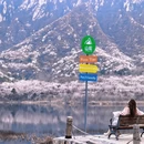 北京旅游 缩略图 5