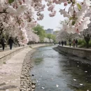 北京旅游 缩略图 2